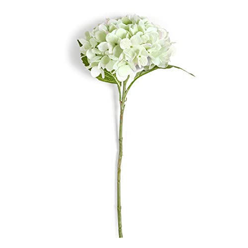 Image of PURE HOME + LIVING Green Faux Hydrangea Spray