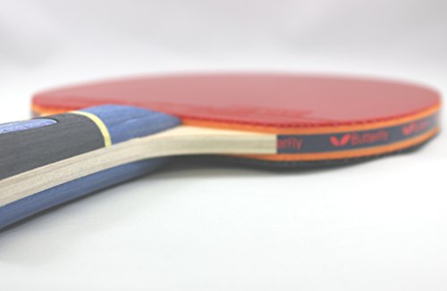 Butterfly Timo Boll Shakehand Ping Pong Paddle - Good Speed And Spin With Superb Control - Japan Series - Recommended For Beginning Level Players - International Table Tennis Federation Approved #TOP4