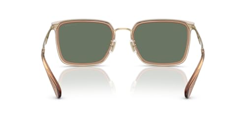 COACH Men's HC7171 Metal C Hardware Square Sunglasses, Light Gold/Sand/Green Solid, 56 mm4