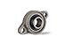 SKFL001-12MM, 12mm Mounted Unit Bearing, 2-Bolt Flange SKFL001-12MM