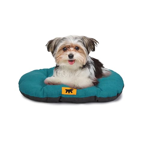 Ferplast Cuccia Cane Relax, Cuscino per cani di taglia piccola, Cuccia Gatto, Tappetino per cucce e auto -Lavabile - in Cotone con Soffice Imbottitura, 55 x 36 cm. Turchese