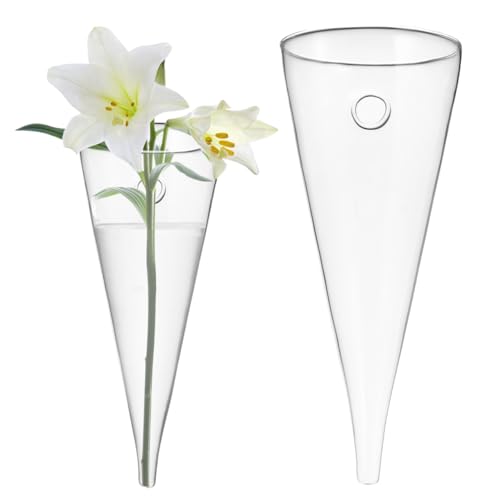 Healvian Grand Vase en Verre Transparent en Forme De Cône Circulaire Suspendu Mur pour Décoration D'Intérieur Salon Bureau Fait Main 8 Pouces