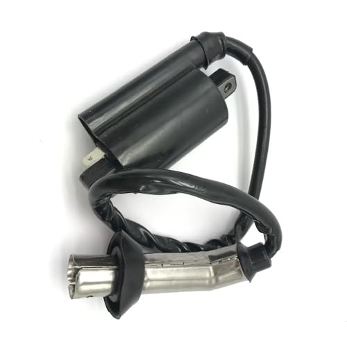 Bobina de encendido GY6 250cc para scooter, ciclomotor y ATV Quad 257cc LH 300cc