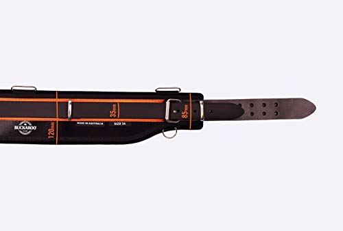 Ceinture de soutien dorsal Buckaroo importée d'Australie en 96,5 cm d'excellence - 5
