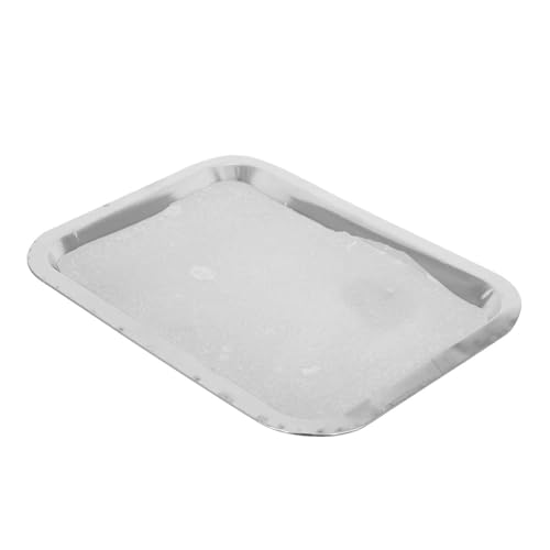 Alipis Biology Lab Dissection Tray Stainless Steel 19x26cm Lab Wax Tray Dissection Plate Reusable for School Science Projects