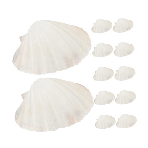KAILIKETIY 20個天然ホタテ貝殻 高耐熱シェルプレート 蒸し調理対応 キャンプやビーチパーティー向け持ち運び簡単 食用対応シーフードサービン