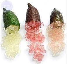 20pcs Finger Lime Fruit Seeds