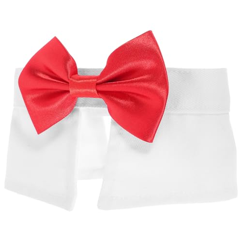 GANAZONO ybgplN^C ߉\ȖȑfޔLp KȑANZT[ p[eB[v[g