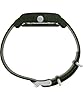Timex Men's Trend 40 mm Watch - Green Eco-Friendly Slip-Thru Single Layer Green Dial Green Case TW2V96000 #1
