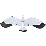 Fácil y portátil. Tylyund Cometas Juguete para Niños con Cometa De Gaviota 3D, Juego De Actividades De Vuelo Al Aire Libre, Niños con Cola Deportiva Familiar, Cometa De Poder Fácil De Volar
