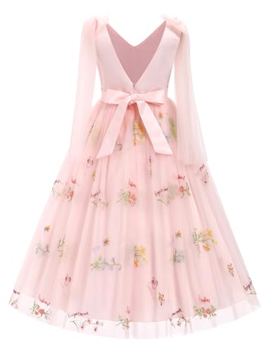 Tulle Embroidery Flower Girl Lace Dress for Kids Wedding Pageant Party Mesh Floral Embroidered Dress Birthday Party Dresses2