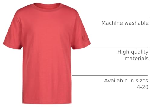 Image of Lucky Brand Boys' Short Sleeve Graphic Crew Neck T-Shirt, Soft, Comfortable, Relaxed Fit