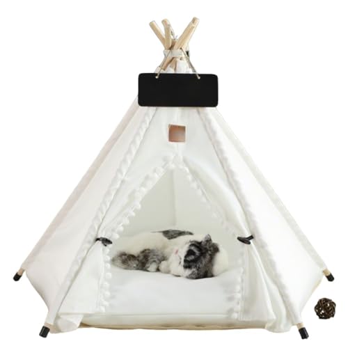 BtcFu ybgegiLp/pΉj ܂肽 fMLnEXELBEO\􂦂ybgxbh (LoX - {[t,M-܊p`eg)