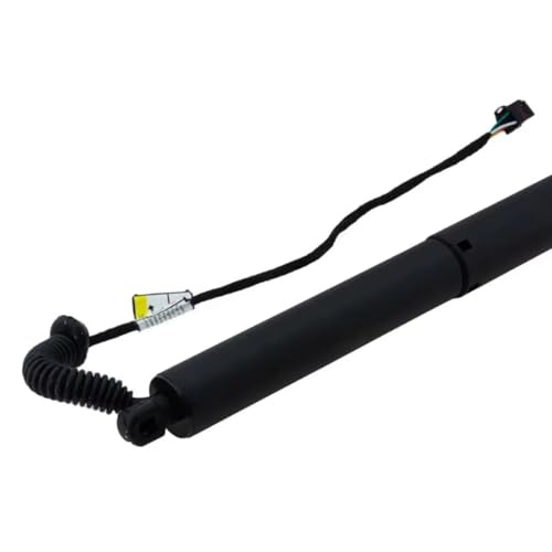 Paire de hayons électriques arrière Highlander résolvant les pannes de vérin 68910-0E070