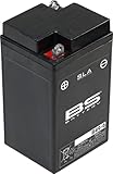 BS Battery