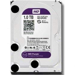 Amazon | WD10PURX [WD Purple 3.5インチ内蔵HDD 1TB SATA6Gb