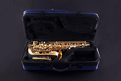 Buffet Crampon 400 Series Alto Saxophone (Brass Matte Finish) #TOP5