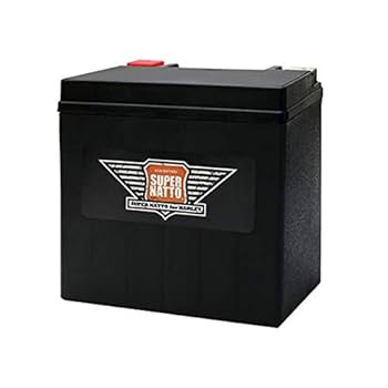 Amazon | スーパーナット ハーレー専用AGMバッテリー 65958-04S
