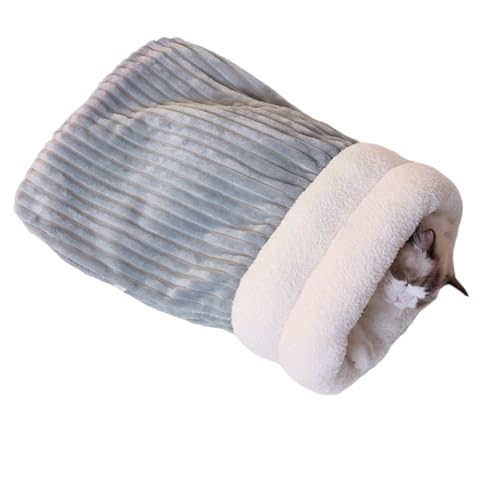 ybggBƃxbhpbh~Q܊Ŷ߂̋x̑ 360 bv~̔L̉