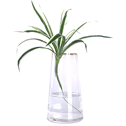 WHJY 9 inch Clear Glass Vase for Table Centerpieces Home Décor, Flower vase Modern Glass Bottles Decorative-White