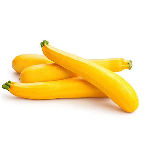 25 Semillas de Calabacín Goldena - vegetales huertos- semillas campesinas reproducibles - SemiSauvage