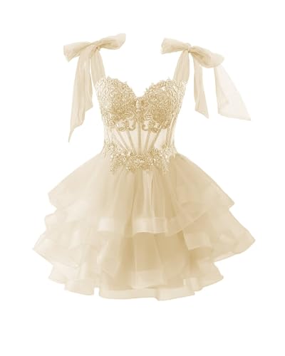 Clothfun Tiered Tulle Short Homecoming Dresses 2025 for Teens Lace Applique Sweet 16 Prom Cocktail Dress CY2654