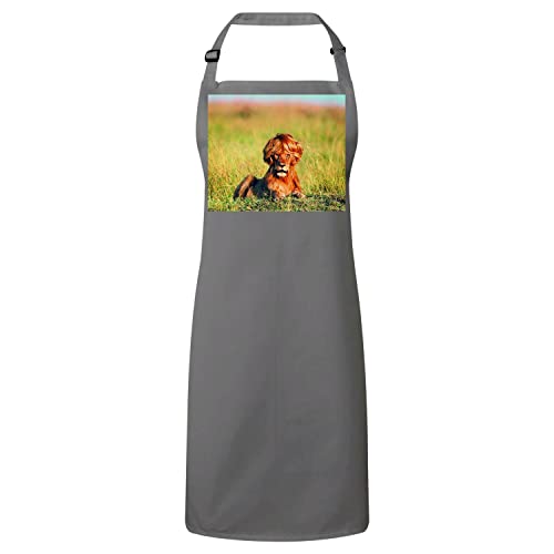 Tablier cuisine Brigitte la Lionne anti taches pour cuisiner proprement avec humour et style