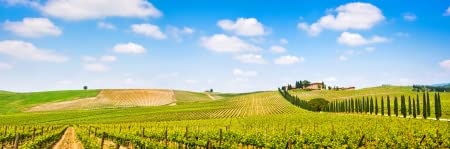 Struttura in legno visibile Quadro in legno 120 x 40 cm: panorama sul paesaggio pittorico della Toscana con montagne di vino nella regione Chianti Toscana (19124617)