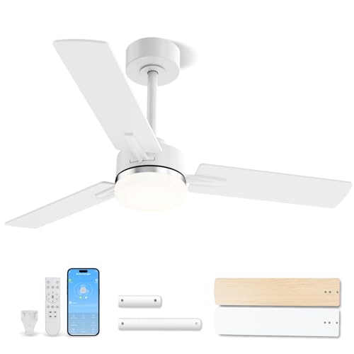 Image of LANMEL Ceiling Fan with Light, Modern Flush Mount Low Profile with Remote Control, Reversible, 3CCT Dimmable, Quiet,LED for Bedroom, Living Room, Indoor /Outdoor Patio Use 42 Inch Silver & White