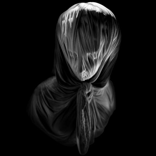 ALBUM REVIEW: Row of Ashes - Tide Into Ruin Podcast Por  arte de portada