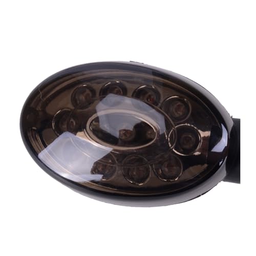 Clignotant de moto cassé ? Rplacez votre indicateur lumineux 12V avant arrière pour 250R