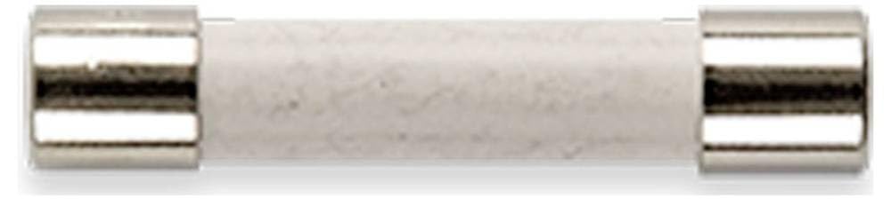 Gossen Metrawatt Z109P FF 0,315 A/1000 V Fusible 10 pieza(s)