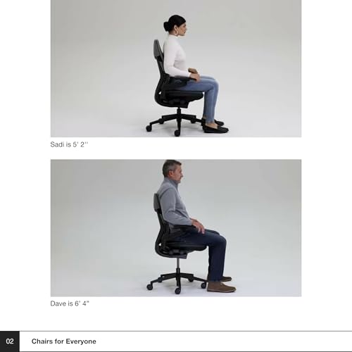 Herman Miller Embody chair