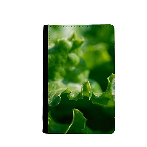 Étui passeport de voyage portefeuille multicolore motif végétal 3.7x5.8 inch
