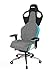 RECARO Exo Platinum Chaise de Jeu I réglable en Hauteur & Ergonomique avec accoudoir 5D pour Plus de Confort d'assise Lors des Jeux et au Bureau I Tissus Respirants I Sky