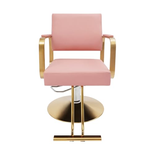 Image of Salon Barber Chair,Salon Chair for Hair Stylist (Pink)