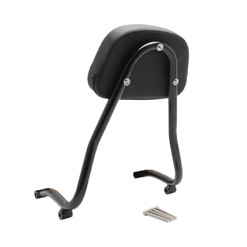 Dossier passager BMW R18 sissy bar amovible en acier finition cruiser premium