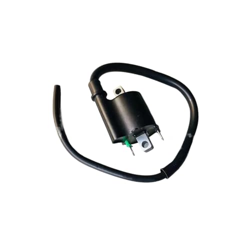 Bobina Encendido Repuesto Para Motocicleta Para Lead 110 XRE 300 NX 400i Falcon 30510-GFM-890 30510-KWT-901 Motocicleta Accesorio Bobina Encendido