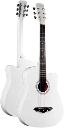 Hrzisda SҁAwAl̃AR[XeBbNM^[ASҌ38C`S҃M^[ZbgAwAqAl̗KpM^[AA`[i[ (zCg)