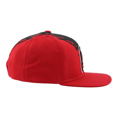 Image of ZHATS NHL Unisex-Adult NHL Officially Licensed Adjustable Snapback Hat Flat Bill Z11 Retro Paintbrush