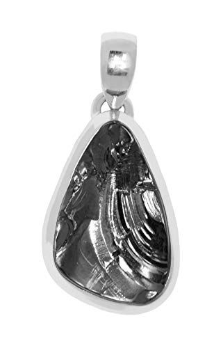 ERCE shungit elite cristalizada colgante plata de ley 925 Cover