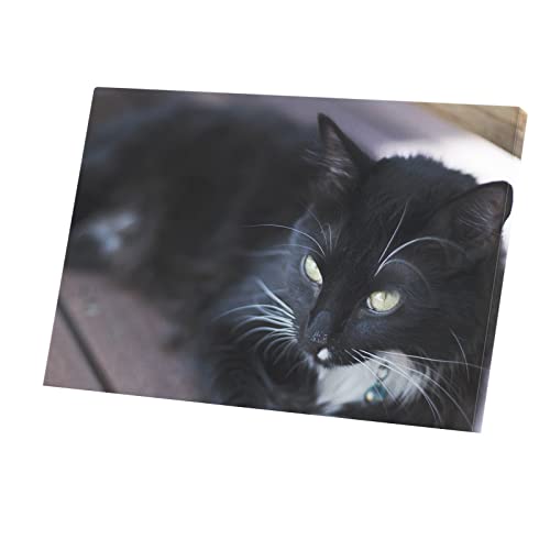 Tableau chat noir et blanc en toile imprimée 45x30 cm pour décoration murale