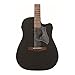 Ibanez Altstar ALT20 Acoustic-Electric Guitar - Weathered Black