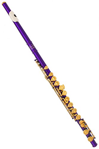 image for 180-PR-N - PURPLE/LACQUER Keys Closed C Flute Lazarro+Pro Case,Care Ki