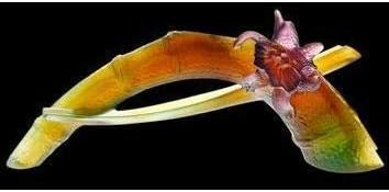 Cattleya Soliflore 03788