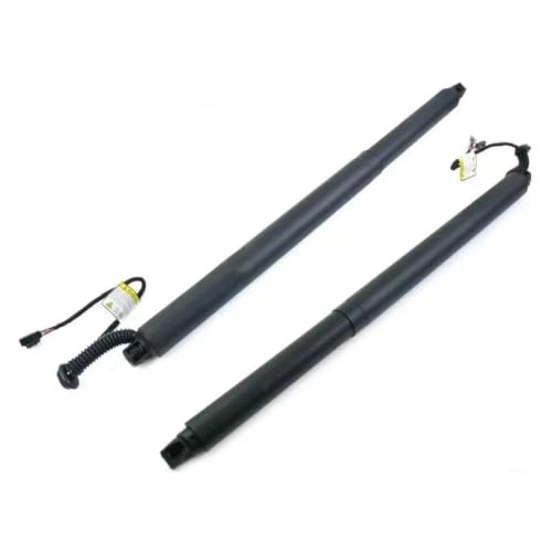Vérin à gaz hayon électrique pour Hyundai Santa Fe IV 2018+ 81830S3100