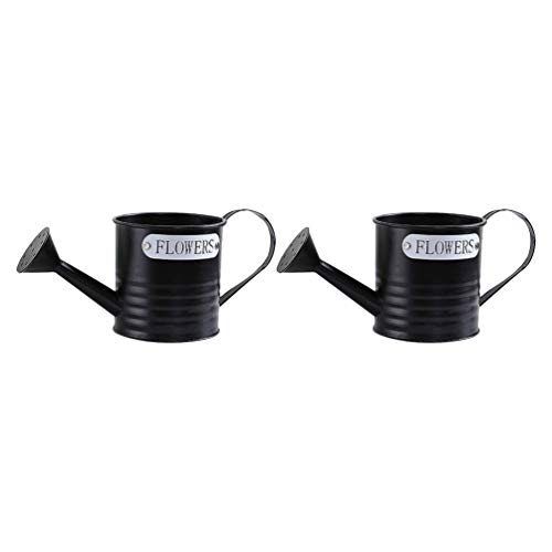 NICEXMAS 2 Pcs Regador de Planta Com Irrigador Flor de Jardim Planta Ao Ar Livre Planta Irrigadora d