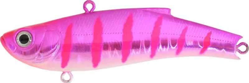 Bassday ORC Range Vibe 80ES