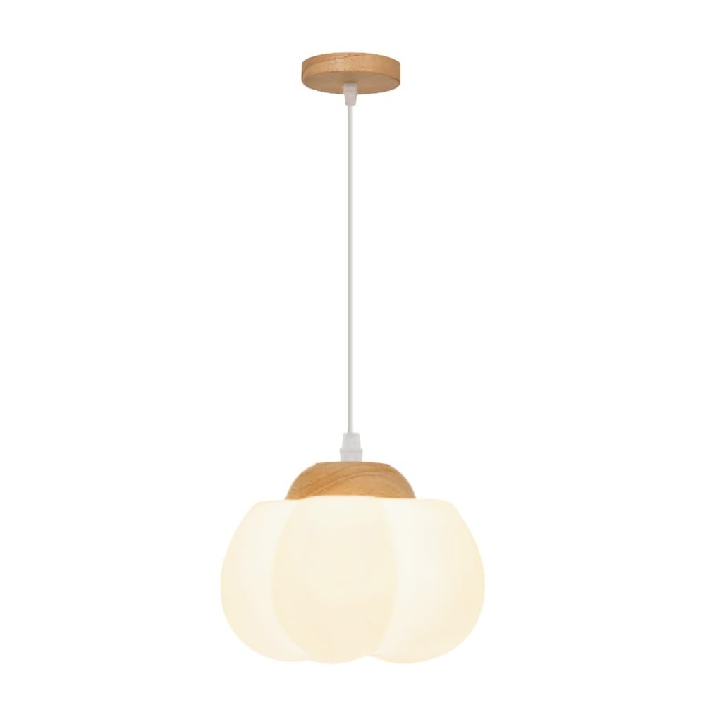 Suspension En Acrylique, Lampe Suspendue En Forme de Fleur de Bois G9