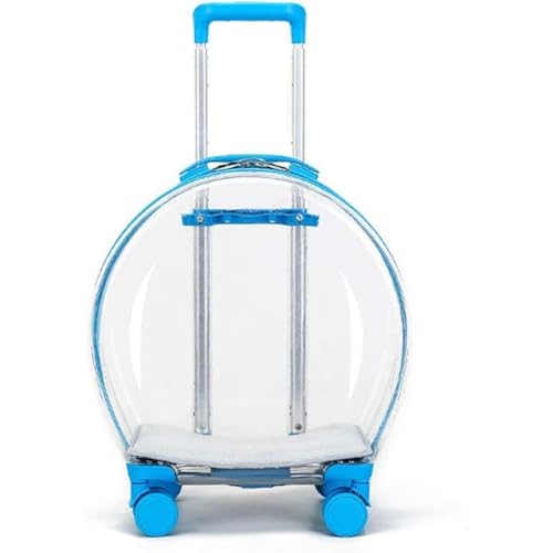 Oanawy ybgpL[obO ybgpobO @\ Lp  ʋC Lknh gїp gю LpobO X[cP[X^ (u[)